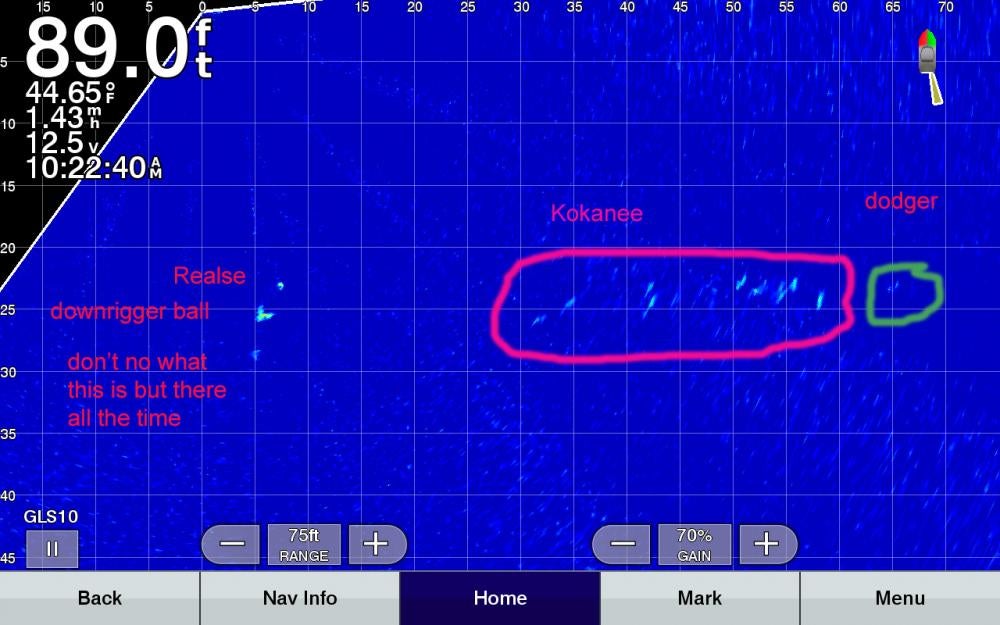 using Garmin live scope to catch Kokanee