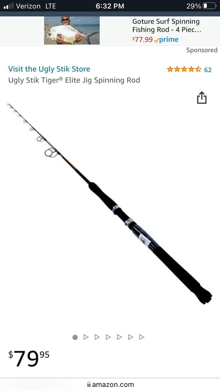 Best pole and spinning reel for jigging bottom fish that wont break the  bank?