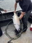 IMG_8062.jpeg