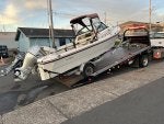 IMG_9294.jpeg