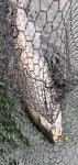 IMG_6491.jpeg