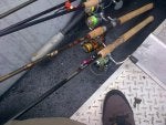 IMG-20131123-00051.jpg