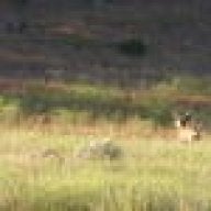 Looking For Some Advice And Info On Potamus In Heppner Ifish Fishing Forum Looking For Some Advice And Info On Potamus In Heppner Ifish Fishing Forum