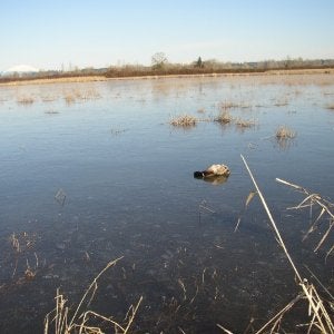 Iced over Deadwillow Unit 1/23-08